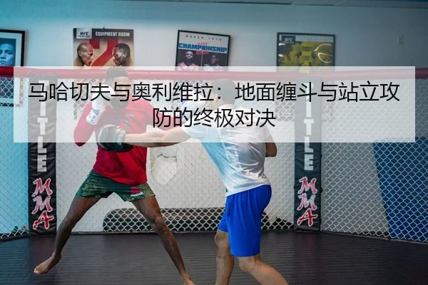 ma-ha-qie-fu-yu-ao-li-wei-la-di-mian-chan-dou-yu-zhan-li-gong-fang-de-zhong-ji-dui-jue-2-384.jpg