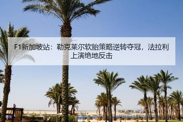 xin-jia-po-zhan-lei-ke-lai-er-ruan-tai-ce-lve-ni-zhuan-duo-guan-fa-la-li-shang-yan-jue-di-fan-ji-3-537.jpg
